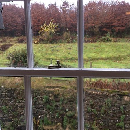 The Forest Inn Dartmoor Йелвертон Экстерьер фото